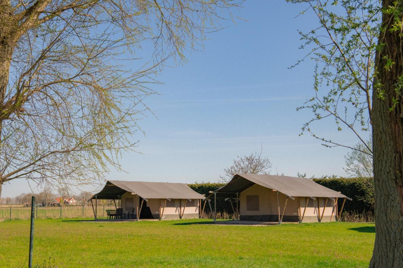 Minicamping Buitenlust Luxe tent