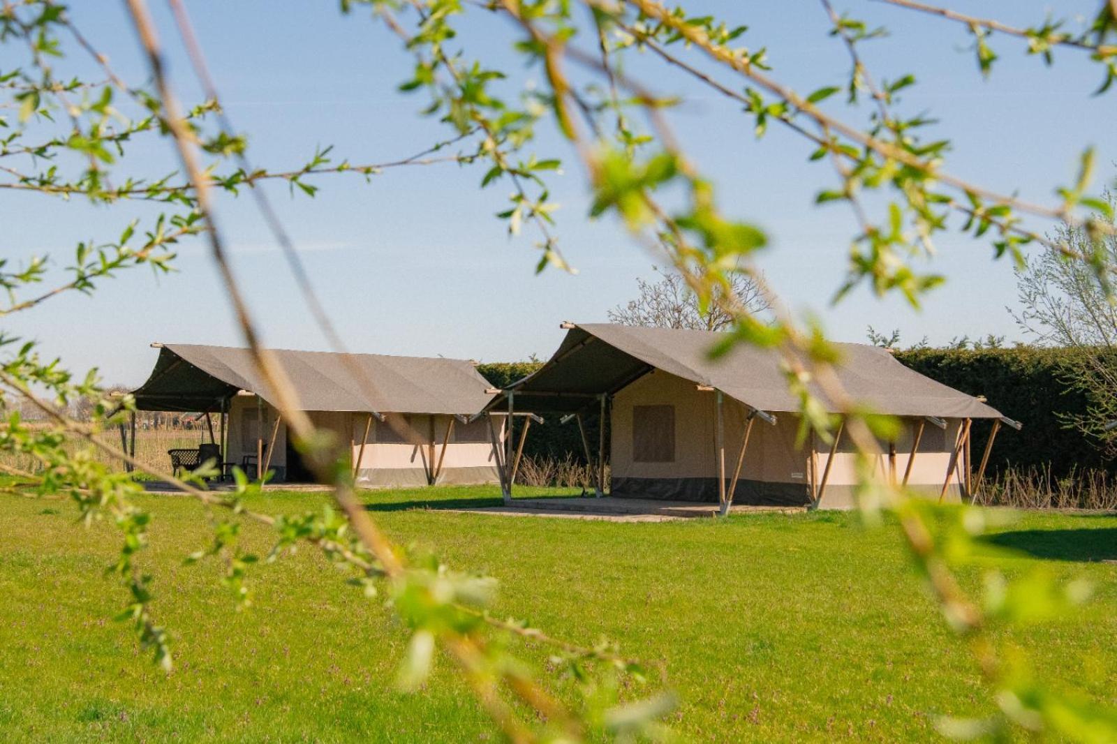 Luxe tent Minicamping Buitenlust Poortvliet